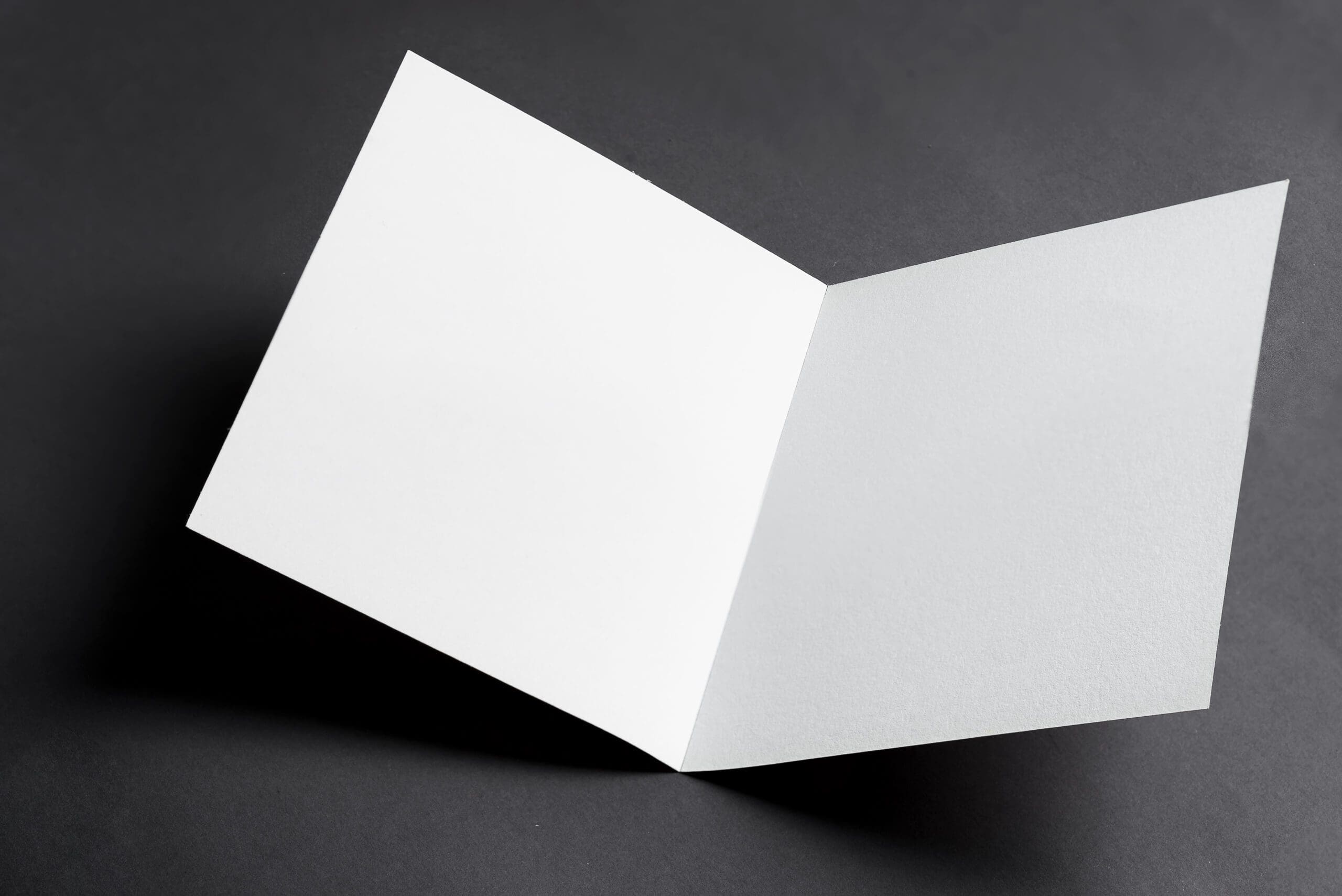 Folded bifold business cardstock paper