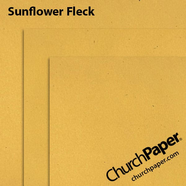 sunflower-fleck-swatch-color-corrected